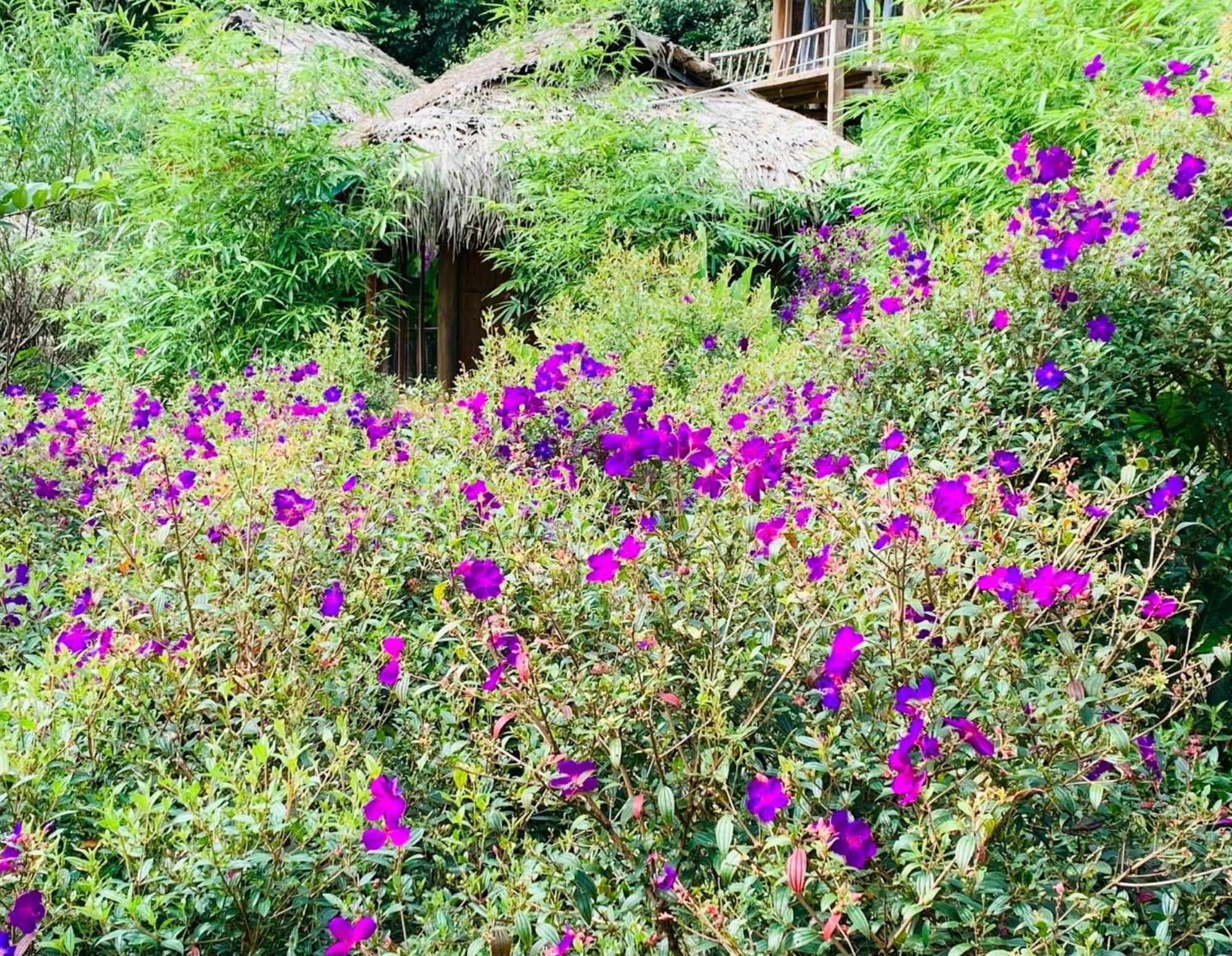 Pu Luong Cuisine Garden Homestay Lang Bang Extérieur photo